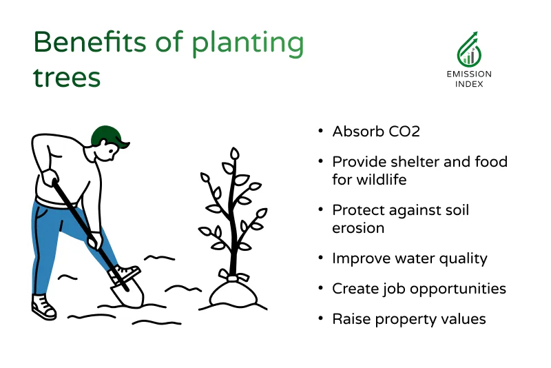 Image of a person digging a hole to plant a tree. The accompanying text outlines the benefits of trees including absorbing CO2, improving water quality and providing shelter and food to animals.