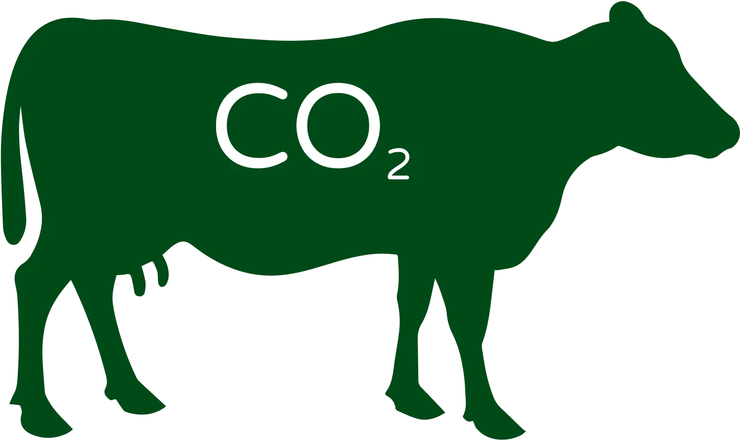 An image depicting the impact of meat eating on greenhouse gas emissions. The visual shows a cow with the letters “CO2” written on its body, symbolizing the significant contribution of livestock to greenhouse gas emissions. The image highlights the link between meat consumption and environmental degradation, particularly in relation to climate change.