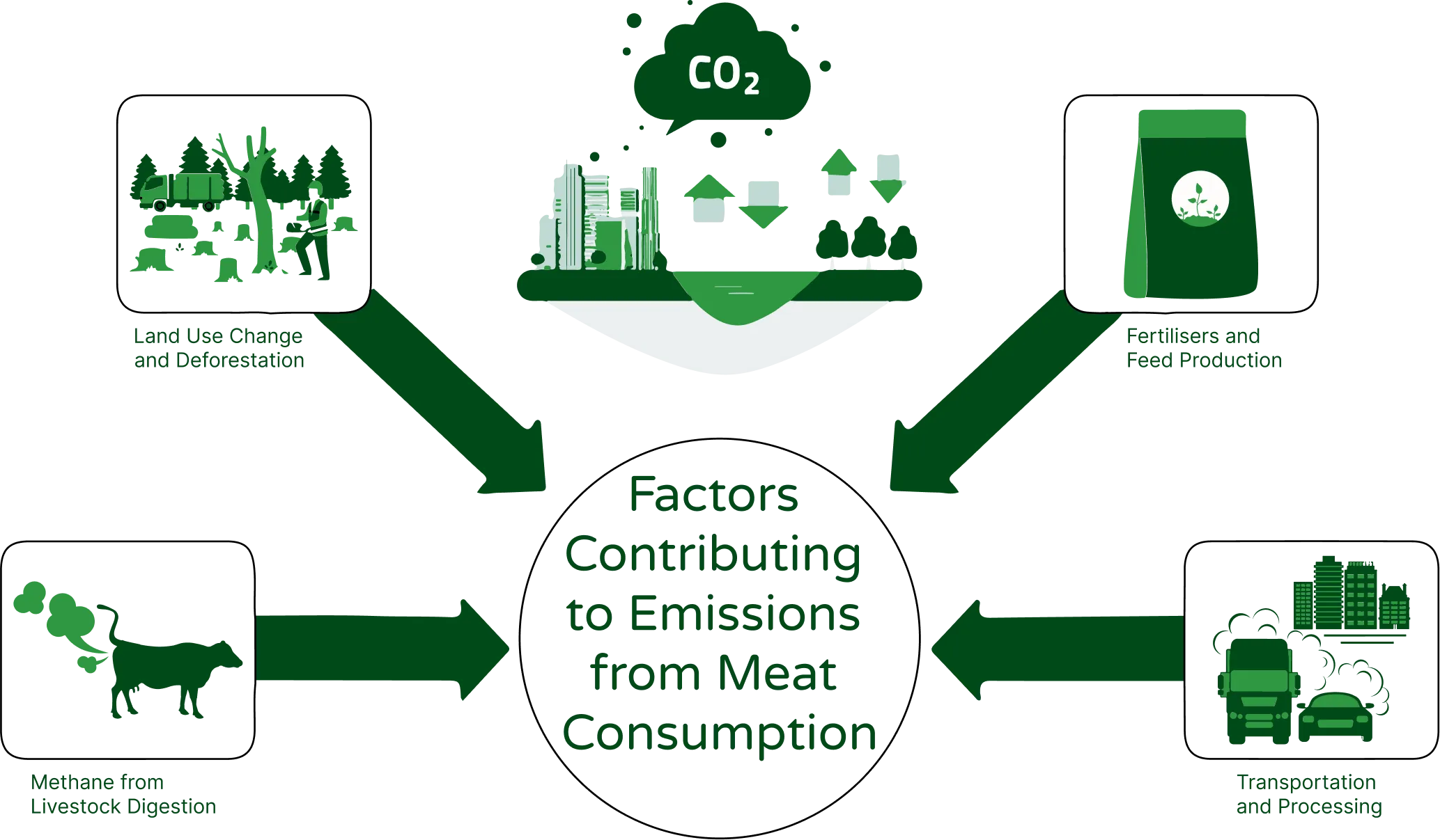 An image depicting four factors contributing to emissions from meat consumption. The visual shows four icons, each representing a different factor. The first icon shows a cow with methane gas emissions coming from its mouth, representing the methane produced from livestock digestion. The second icon shows a forest being cleared, representing land-use change and deforestation associated with livestock farming. The third icon shows a bag of fertilizers and a corn plant, representing the use of fertilizers and feed production for livestock. The fourth icon shows a truck and a factory, representing the emissions associated with transportation and processing of meat products.