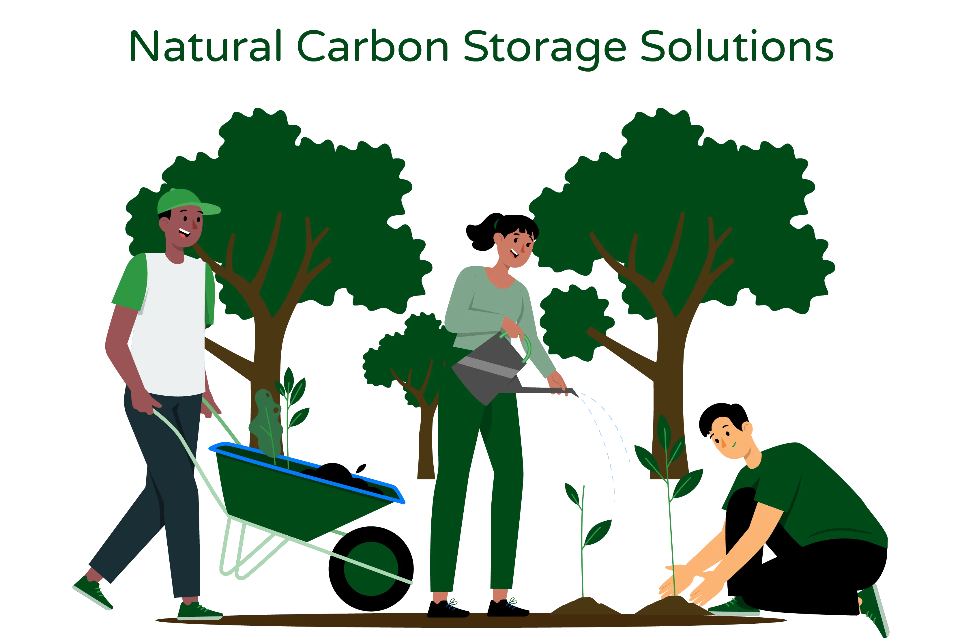 Illustration titled ‘Natural Carbon Storage Solutions.’ The image portrays three individuals actively engaged in growing plants and forests as part of a strategy to naturally trap carbon. They are depicted planning and implementing methods to enhance carbon storage in the environment.”  The illustration visually represents the concept presented in the title. It showcases the efforts of individuals to utilize natural carbon storage solutions. The three people symbolize the collective action taken by communities, organizations, or individuals to contribute to carbon sequestration through plant and forest growth.  By growing plants and forests, they are actively participating in the natural process of carbon capture, where plants absorb carbon dioxide (CO2) during photosynthesis and store it within their biomass and in the soil. This depiction highlights the significance of nature-based approaches in mitigating climate change and reducing CO2 levels in the atmosphere.  Overall, the ‘Natural Carbon Storage Solutions’ illustration conveys the importance of harnessing natural processes, such as plant and forest growth, as effective strategies for trapping carbon and addressing climate change.