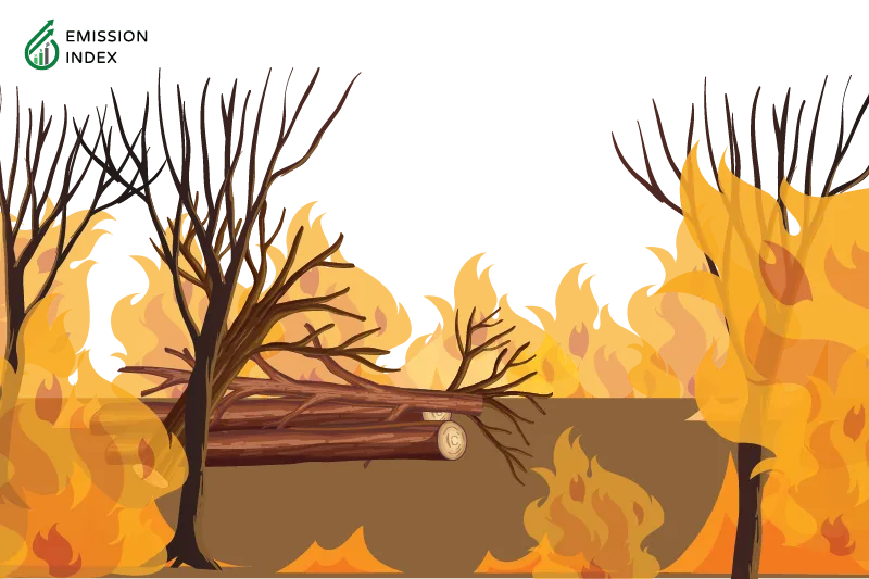 Illustration titled ‘Understanding Deforestation.’ The image depicts a person cutting trees in the forest. The purpose of the illustration is to showcase the ongoing crisis of deforestation and its rapid and widespread impact on our planet. It raises questions about the drivers behind such destructive actions and emphasizes the global implications of this environmental predicament.