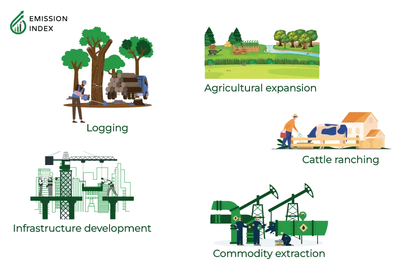  llustration titled ‘Causes of Deforestation.’ The image displays five major causes of deforestation: agricultural expansion, logging, cattle ranching, infrastructure development, and pursuit of valuable commodities. The purpose of the illustration is to showcase the diverse drivers of deforestation, which can vary from region to region but often include these common motives.