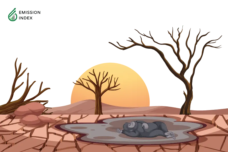 Illustration titled ‘Environmental Impacts.’ The image depicts a deforested area with an ape on a dry surface, representing the loss of biodiversity and habitat destruction. The purpose of the illustration is to showcase the profound consequences of deforestation on the environment, including irreversible loss of biodiversity and disruptions to ecosystems.