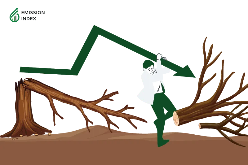“Illustration titled ‘Economic Effects.’ The image shows an economy arrow leaning down, and a man is handling that arrow in a deforested forest. The purpose of the illustration is to showcase the economic implications of deforestation, indicating short-term gains at the expense of long-term sustainability. It highlights the threats to future economic stability due to biodiversity loss, climate change, and other impacts, emphasizing the need for sustainable practices and international cooperation for balanced economic development and environmental conservation.”