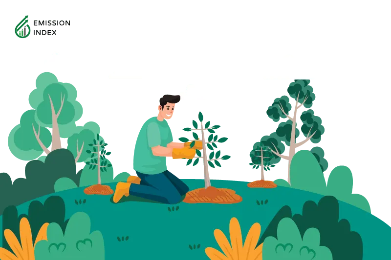  Illustration titled ‘Deforestation Solutions.’ The image features a man planting a tree on a half-globe, symbolizing reforestation as a major solution to combat deforestation. The purpose of the illustration is to showcase effective strategies to address deforestation. Reforestation is depicted as a key solution, where new trees are planted to restore and replenish the lost forest cover. Other strategies mentioned in the paragraph include sustainable forestry practices, legal restrictions on deforestation, and the use of technology for monitoring deforestation activities. The illustration highlights the importance of these solutions in mitigating the adverse impacts of deforestation on the environment and promoting sustainable forest management.