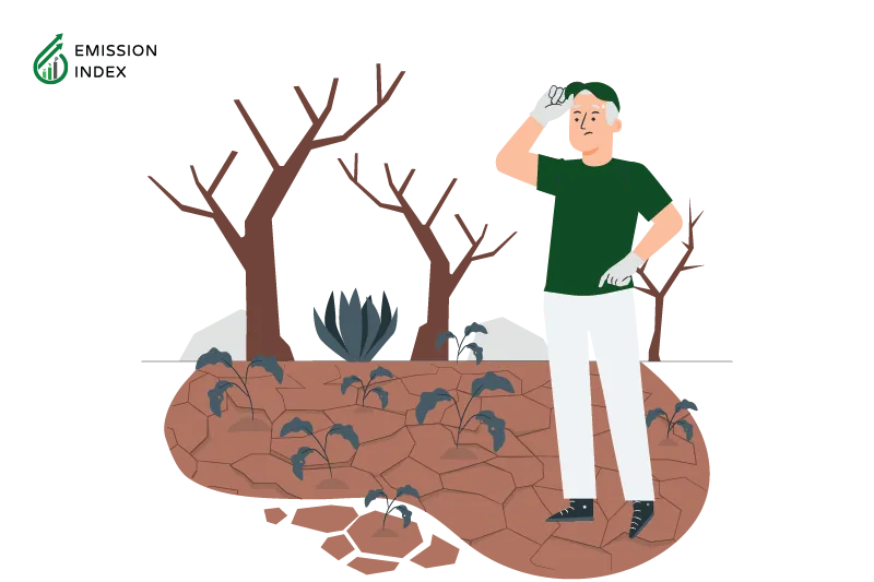 Illustration titled ‘Understanding Deforestation and Its Impact.’ The image depicts a scene of deforestation, with trees being cleared for agricultural activities, urban development, and logging. In the foreground, a man is shown watching and understanding the consequences of deforestation. The purpose of the illustration is to showcase the impact of deforestation on local ecosystems and the environment. It highlights that deforestation leads to the loss of habitat for millions of species, including 60,000 different tree species, 80% of amphibian species, 75% of bird species, and 68% of the world’s mammal species. The illustration also emphasizes that deforestation contributes to climate change, as trees play a crucial role in maintaining moist forest soils and perpetuating the water cycle. Without trees, former forest lands can quickly become barren deserts.