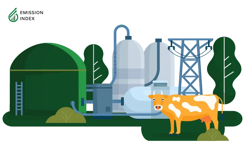 Illustration showing the production of biomass energy