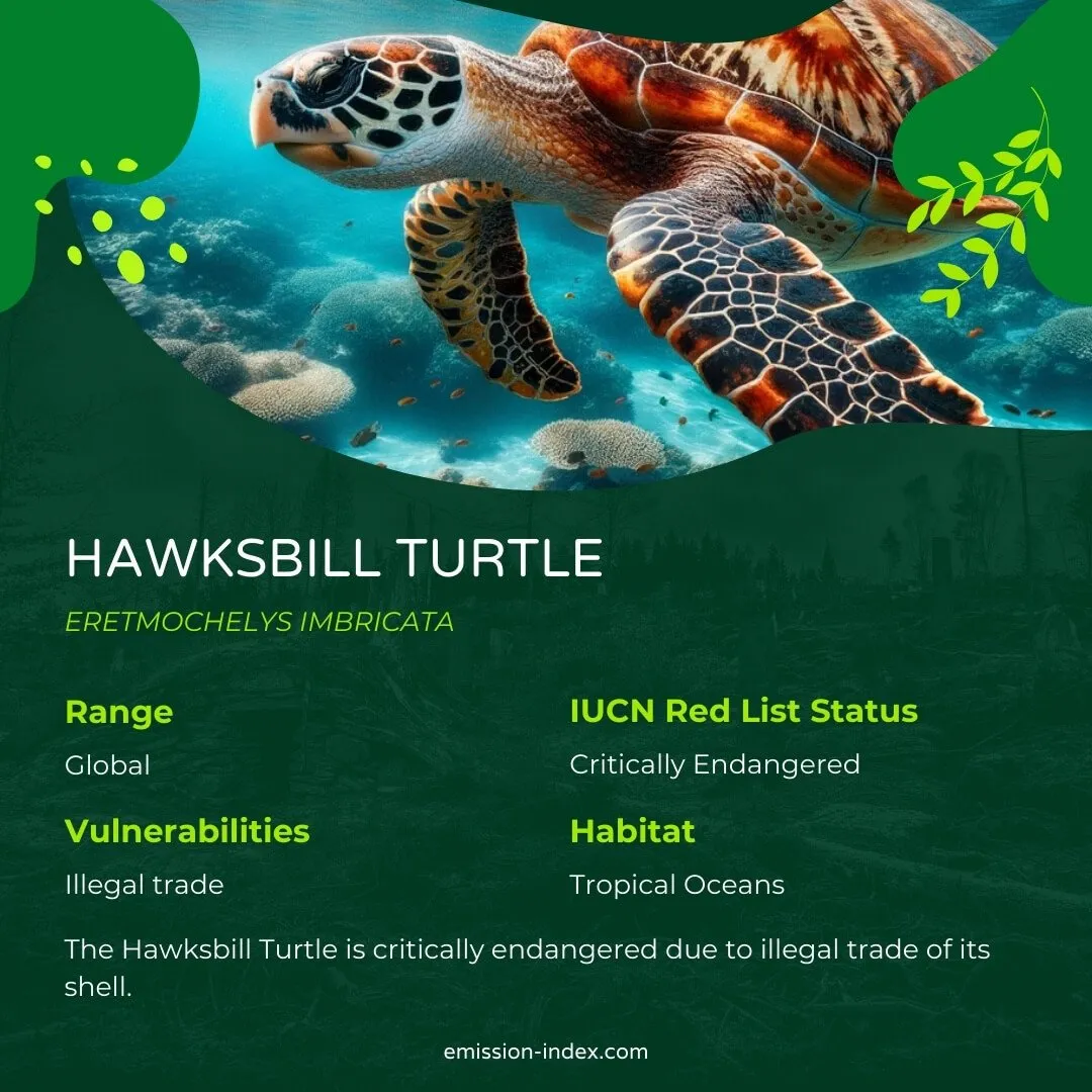 Hawksbill Turtle gracefully swimming in clear blue waters, its distinctive shell pattern reflecting the sunlight, surrounded by small fish and coral formations.