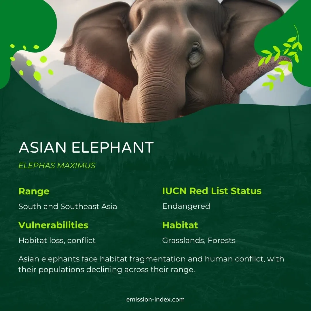 Asian elephant walking gracefully through a grassy field, its large ears flapping, and a serene expression on its face, with a backdrop of distant mountains.