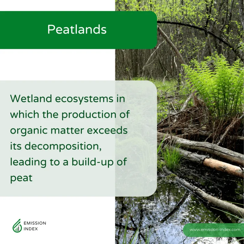 An educational image representing ‘Peatlands’ shows a lush wetland with abundant greenery and fallen logs over water. It describes peatlands as wetland ecosystems where organic matter accumulation exceeds decomposition, leading to peat formation