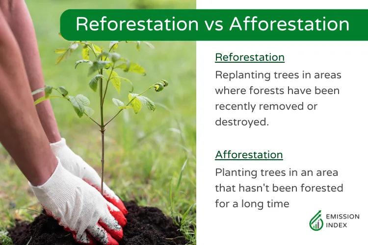 Image explaining the difference between reforestation and afforestation. Afforestation involves planting trees in an area that hasn’t been forested for a long time, whereas reforestation involves replanting trees in areas where forests have been recently removed or destroyed.